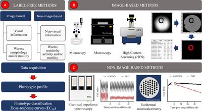 Schistosomiasis Drug Discovery in the Era of Automation and Artificial Intelligence